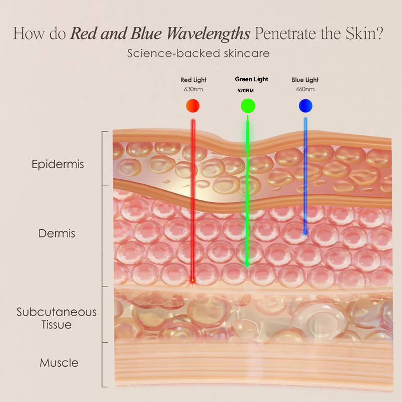 LED Contour Therapy™